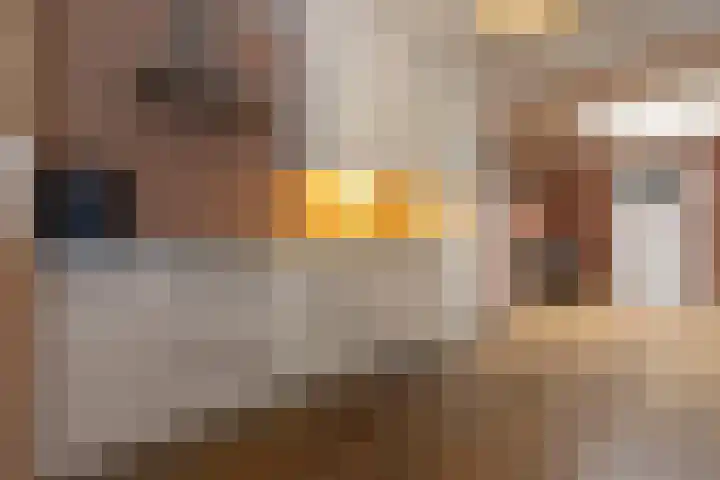 Joachimstraat 24 Stramproy thumbnail 18