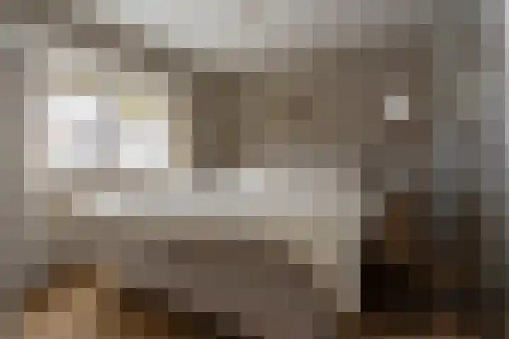 Joachimstraat 24 Stramproy thumbnail 27