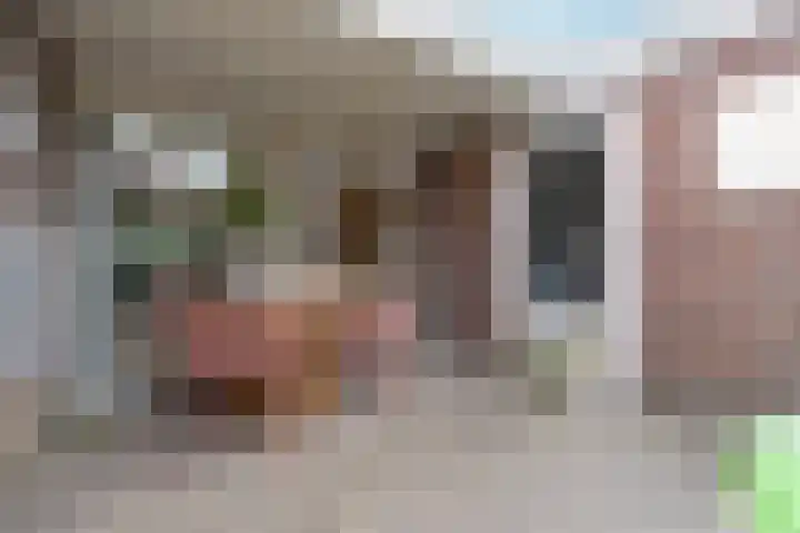 Joachimstraat 24 Stramproy thumbnail 34