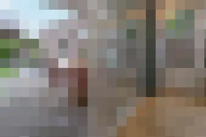 Joachimstraat 24 Stramproy thumbnail 35