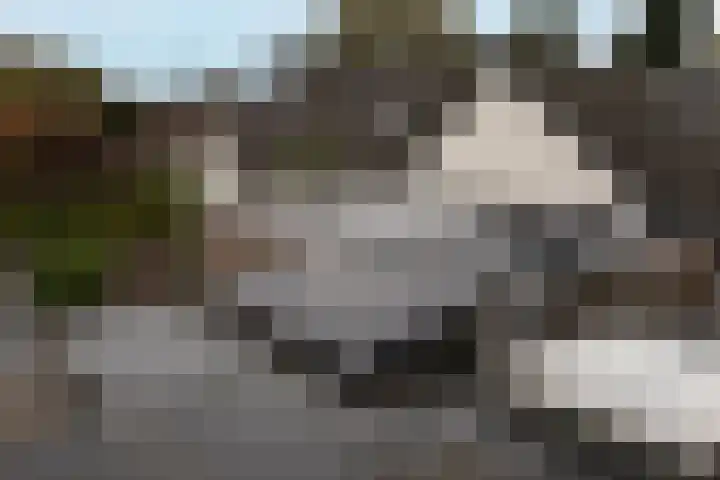 Joachimstraat 24 Stramproy thumbnail 40