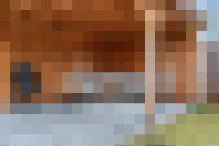 Joan Beukerweg 11 Renkum thumbnail 27