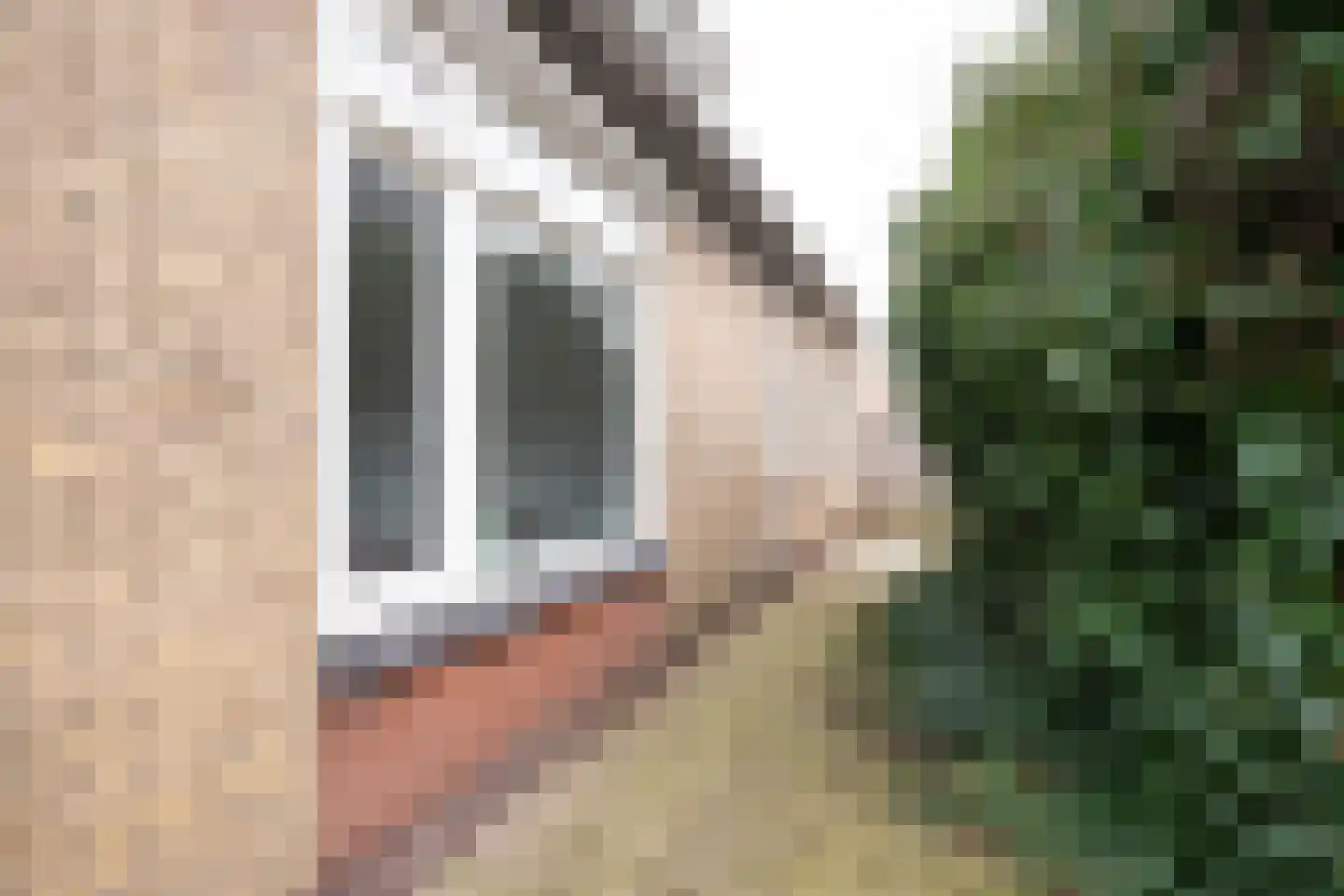Joan Hodshonstraat 8 De Cocksdorp thumbnail 52