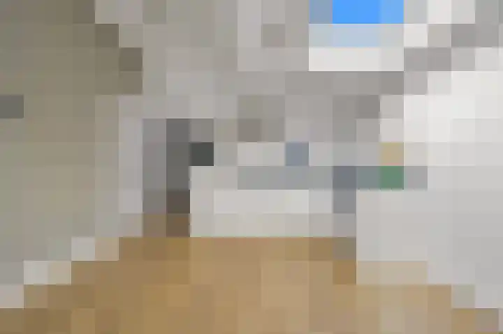 Joan Maetsuyckerstraat 4 D Den Haag thumbnail 19