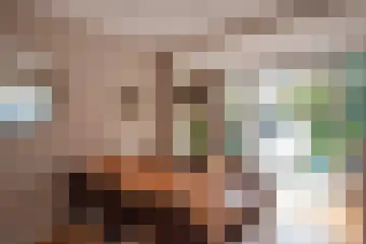 Joan Maetsuykerlaan 11 Haarlem thumbnail 14