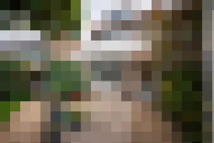 Joan Maetsuykerlaan 11 Haarlem thumbnail 20