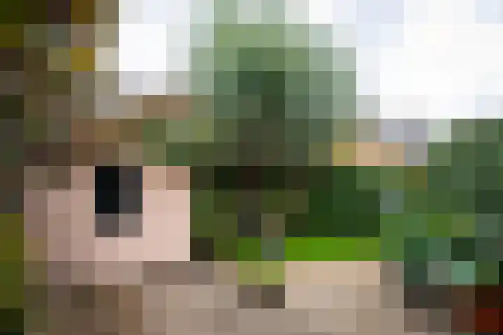 Joan Maetsuykerlaan 11 Haarlem thumbnail 22