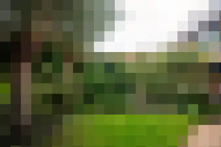 Joan Maetsuykerlaan 11 Haarlem thumbnail 23