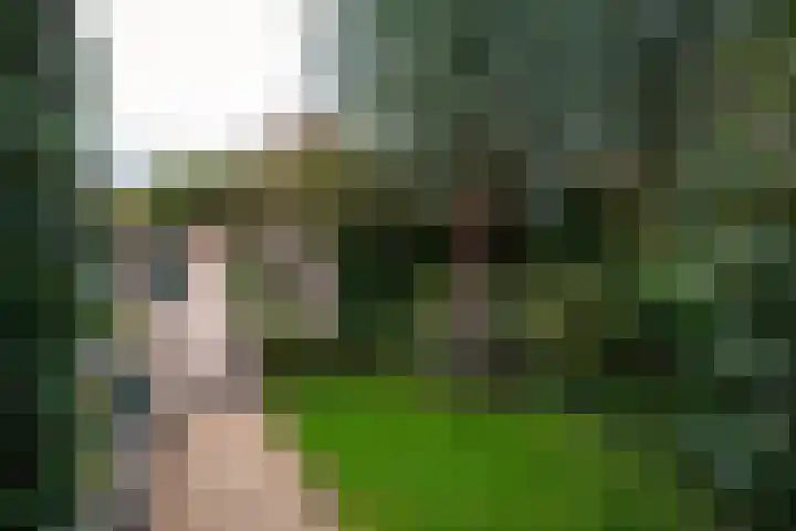 Joan Maetsuykerlaan 11 Haarlem thumbnail 24