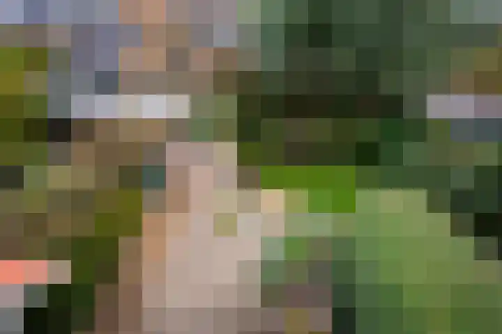 Joan Maetsuykerlaan 11 Haarlem thumbnail 28