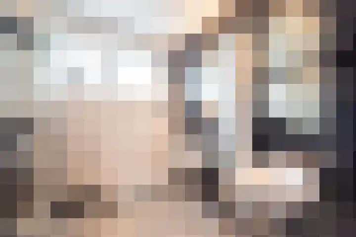 Joan Maetsuykerlaan 11 Haarlem thumbnail 32