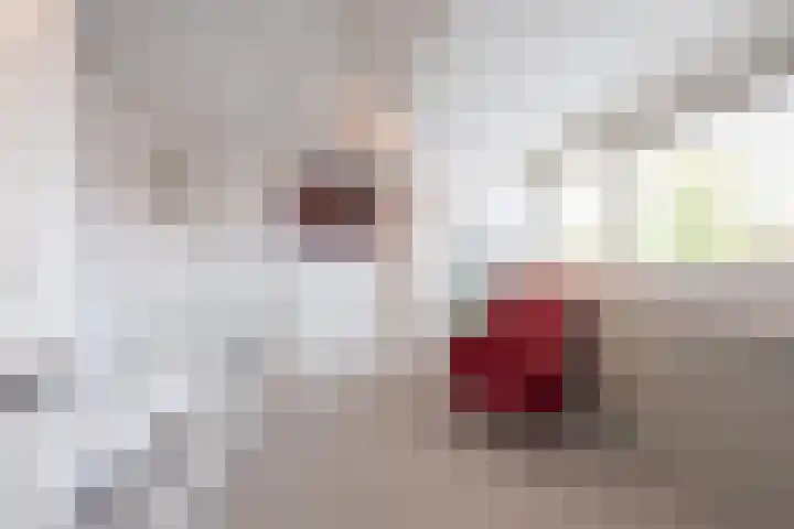 Joan Maetsuykerlaan 11 Haarlem thumbnail 36