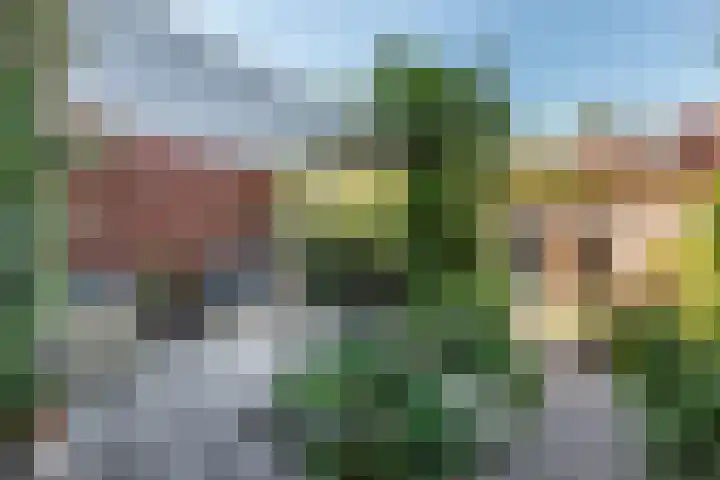 Joan Maetsuykerlaan 26 Haarlem thumbnail 12