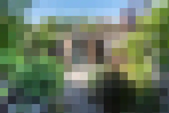 Joan Maetsuykerlaan 26 Haarlem thumbnail 13