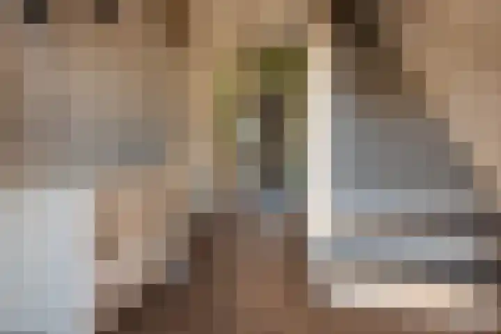 Joan Maetsuykerlaan 26 Haarlem thumbnail 19
