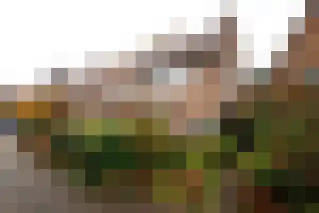 Joan Maetsuykerlaan 31 Haarlem thumbnail 36