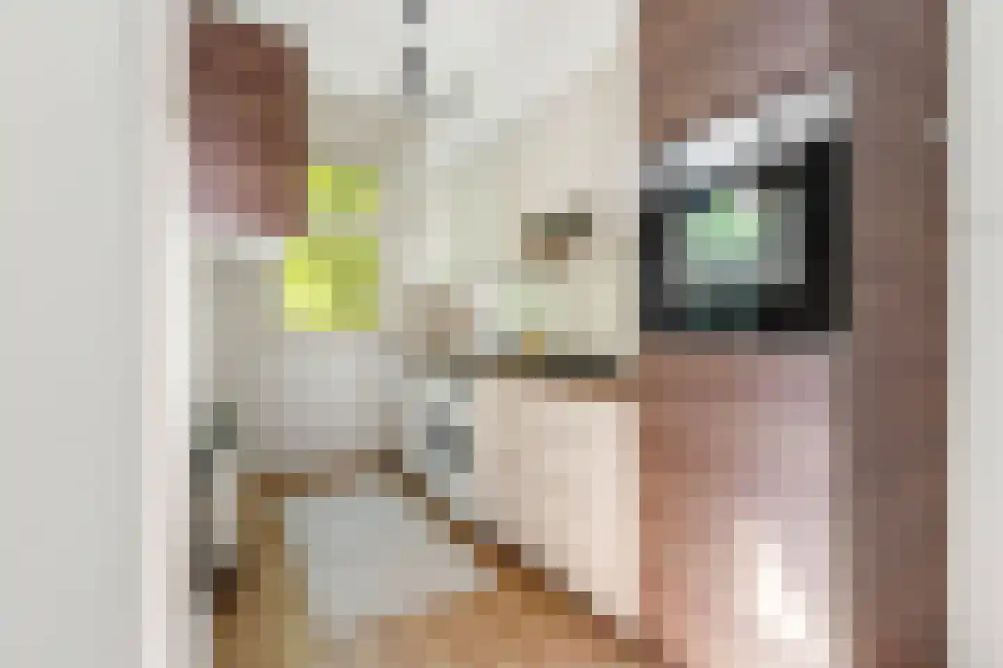 Joan Melchior Kemperstraat 107 1 Amsterdam thumbnail 17
