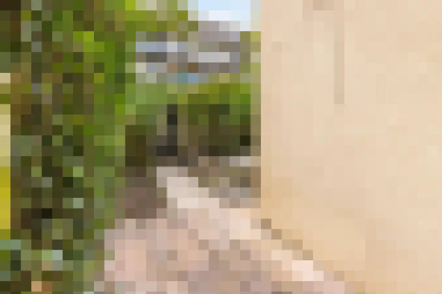 Joan Melchior Kemperstraat 107 1 Amsterdam thumbnail 27
