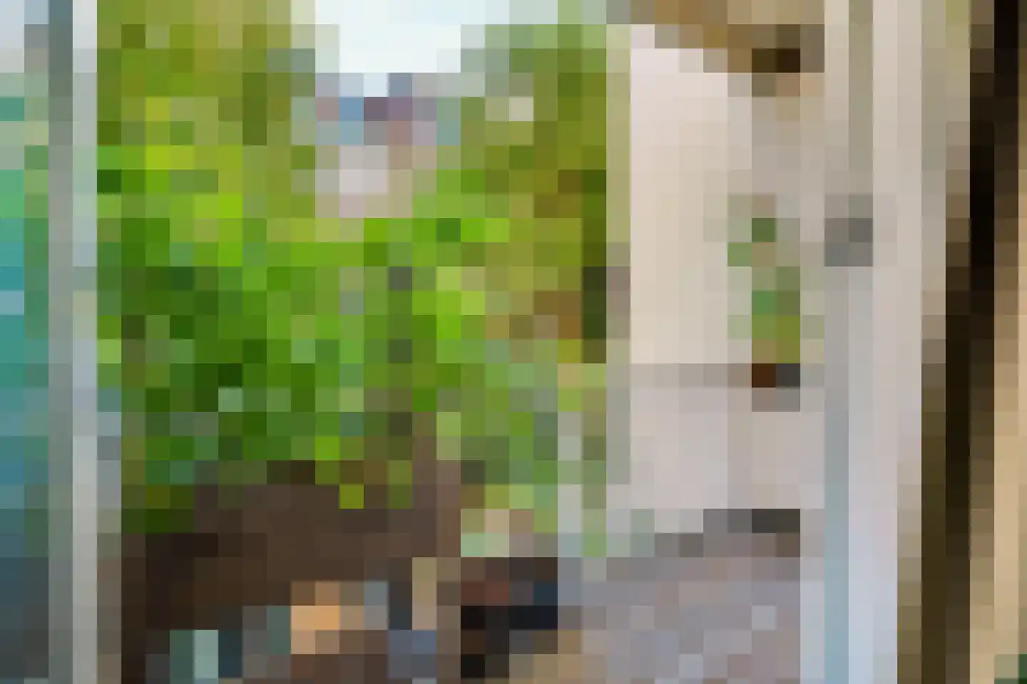 Joan Melchior Kemperstraat 47 1 Amsterdam thumbnail 5
