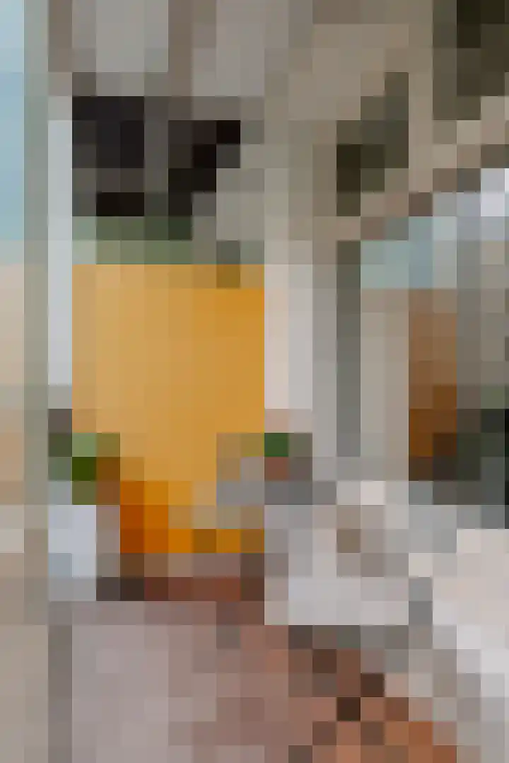 Joan Melchior Kemperstraat 73 H Amsterdam thumbnail 8