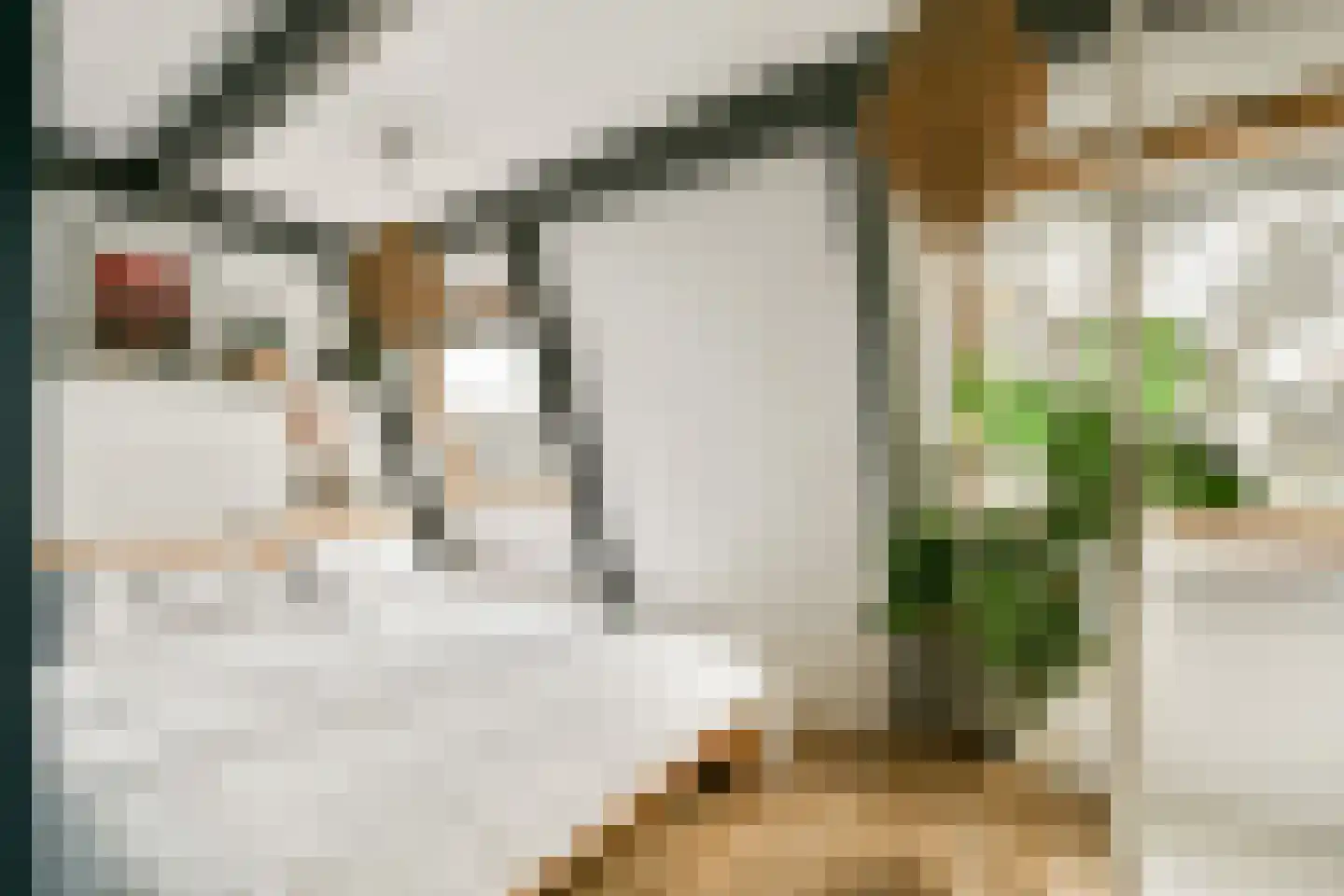 Joan Melchior Kemperstraat 75 2 Amsterdam thumbnail 17