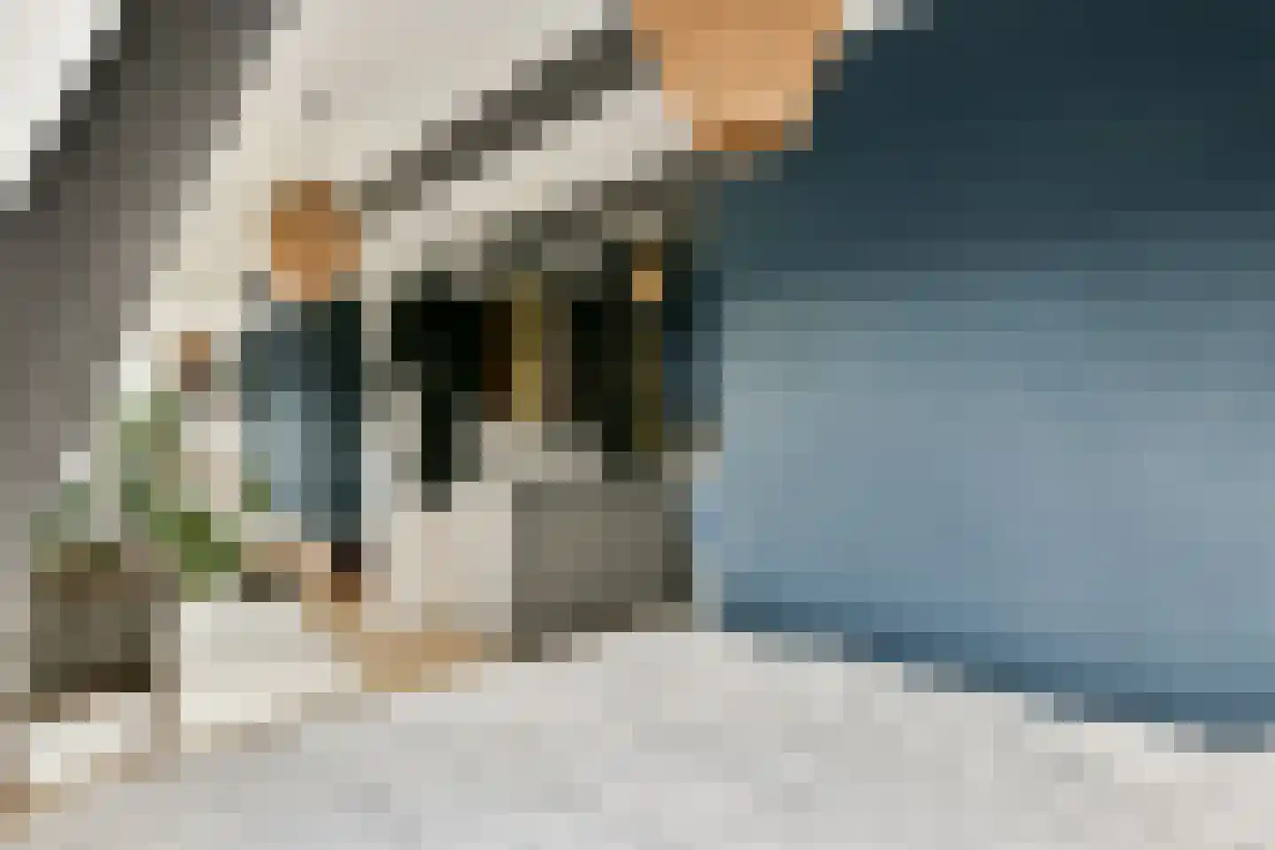 Joan Melchior Kemperstraat 75 2 Amsterdam thumbnail 19