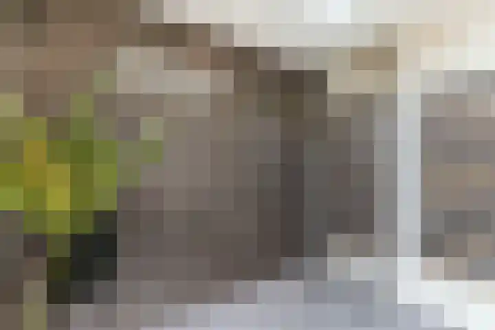 Joan Melchior Kemperstraat 89 1 Amsterdam thumbnail 43