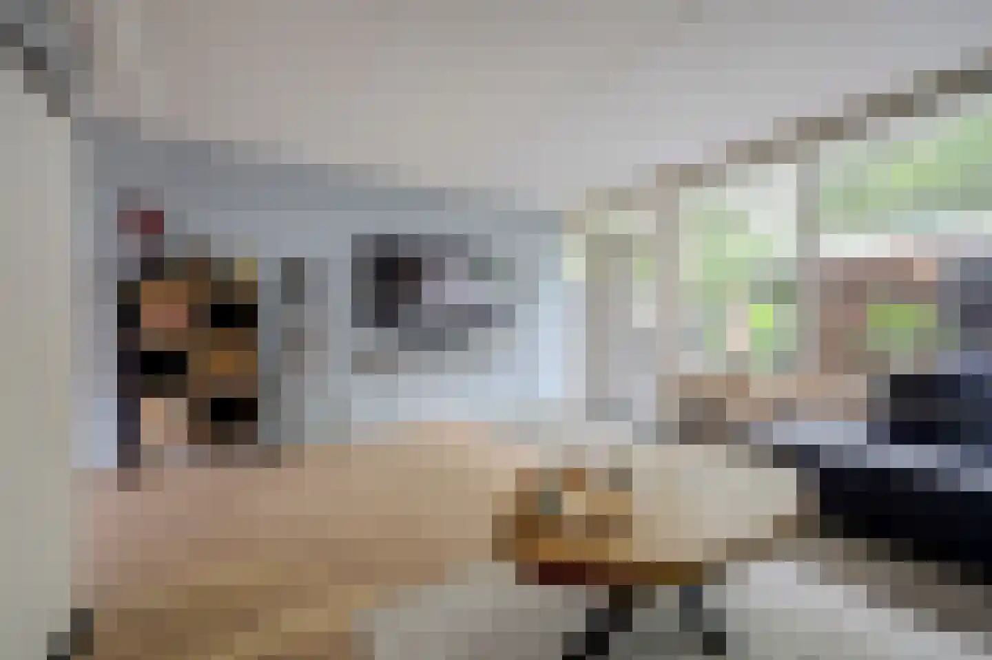 Joan Vuistpad 12 Vollenhove thumbnail 12
