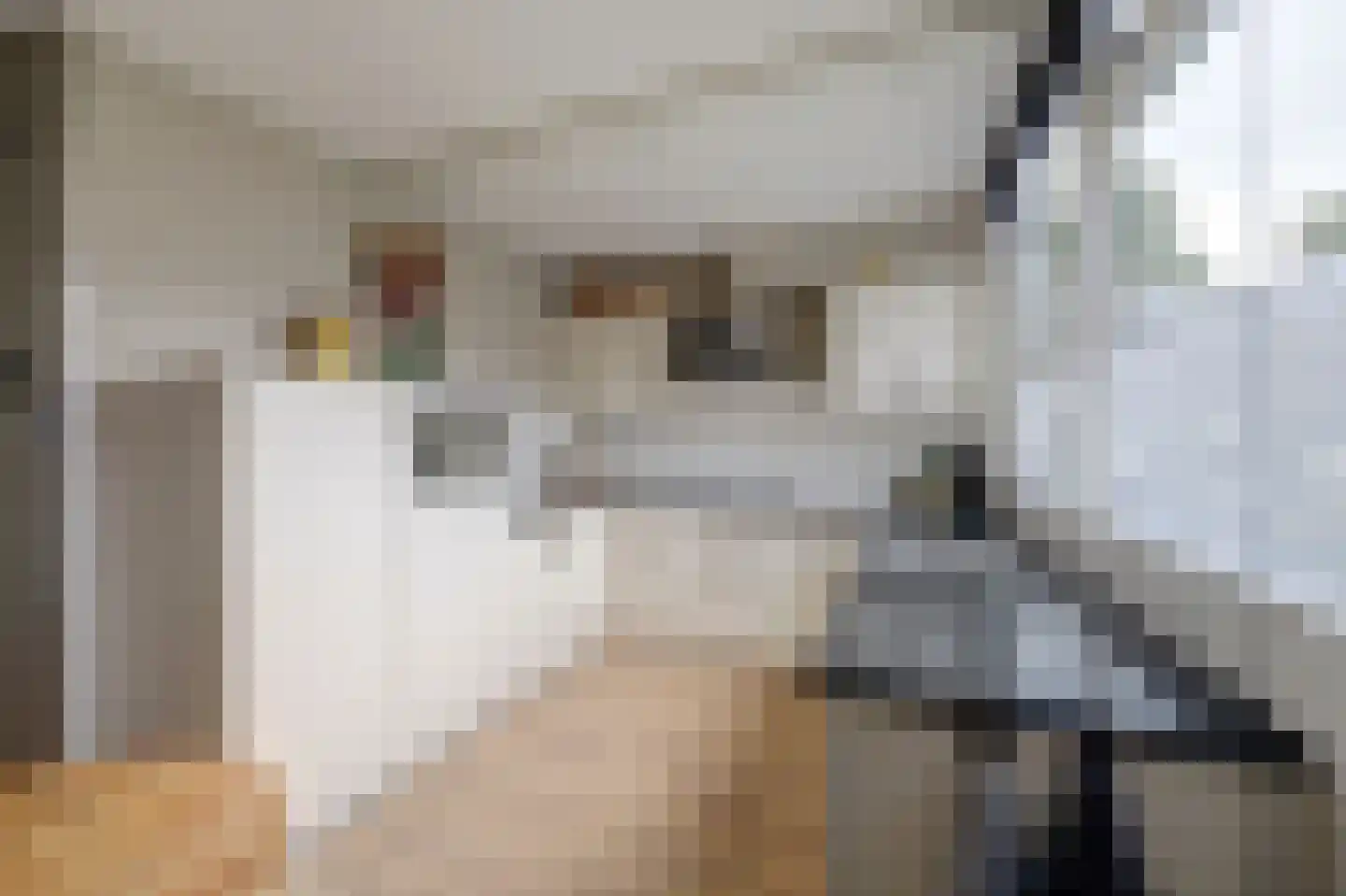 Joan Vuistpad 12 Vollenhove thumbnail 14