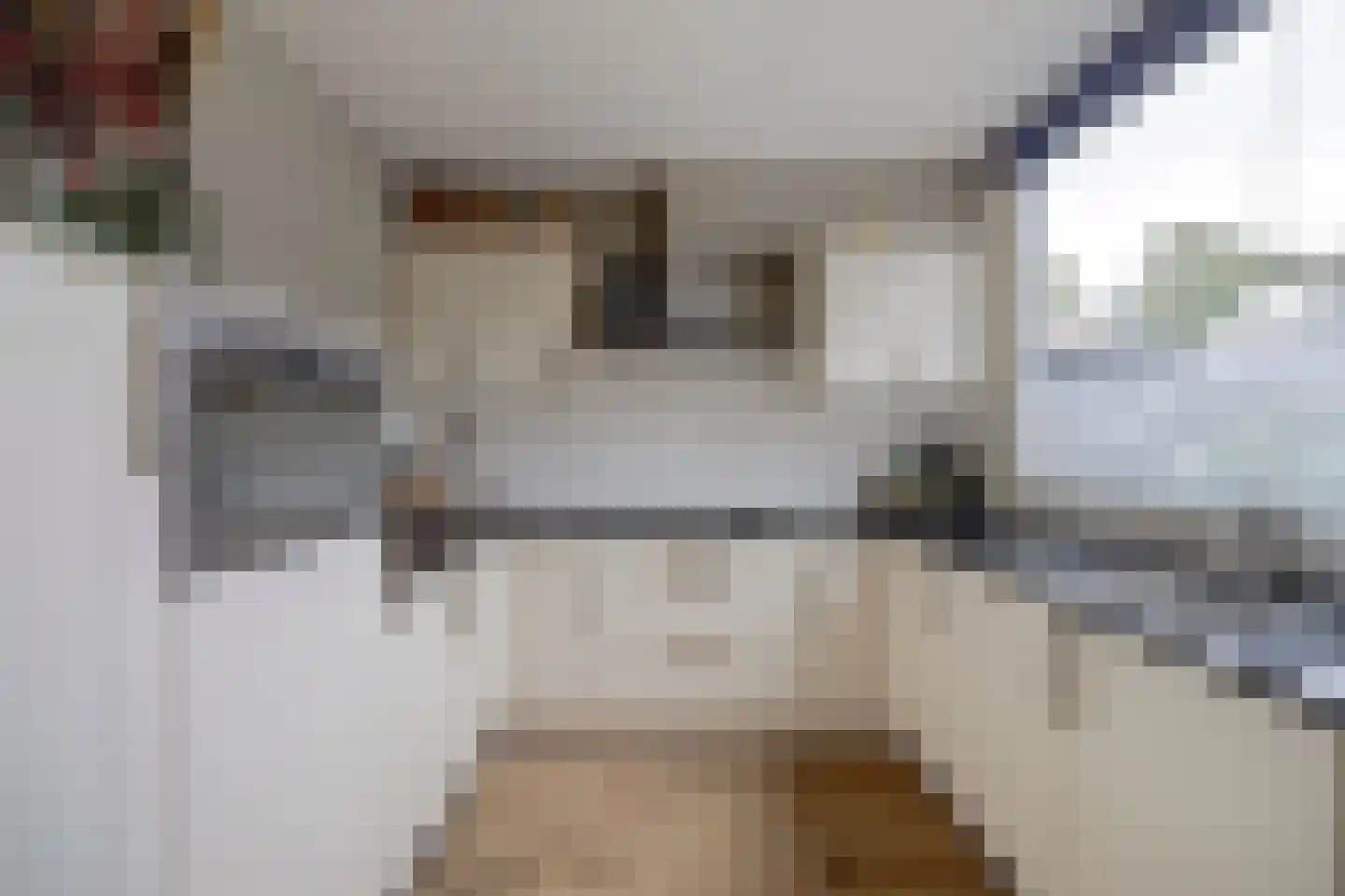 Joan Vuistpad 12 Vollenhove thumbnail 15
