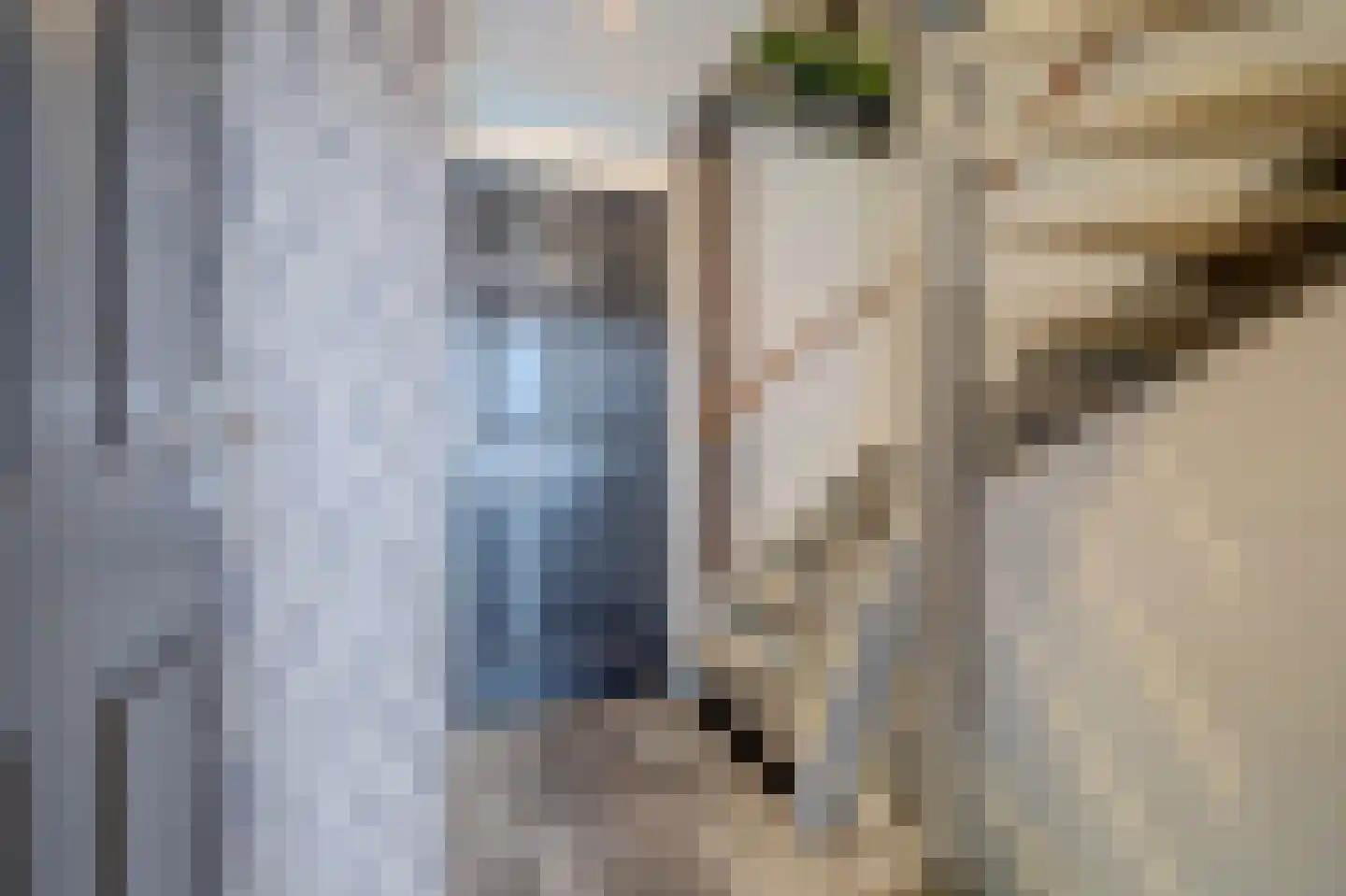 Joan Vuistpad 12 Vollenhove thumbnail 19