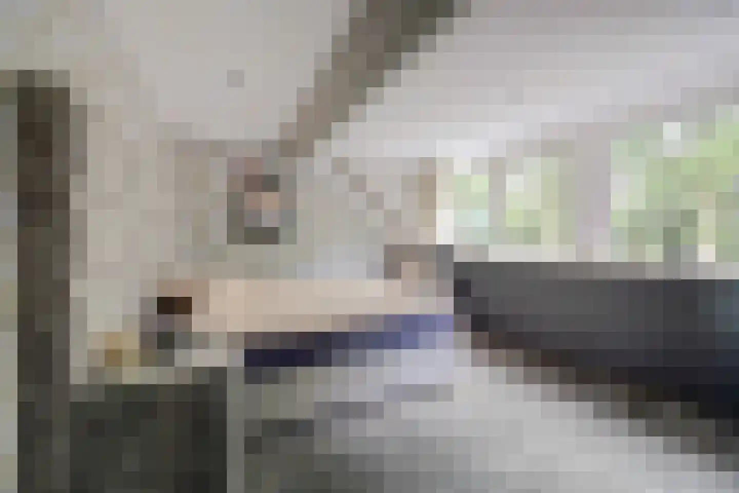 Joan Vuistpad 12 Vollenhove thumbnail 20