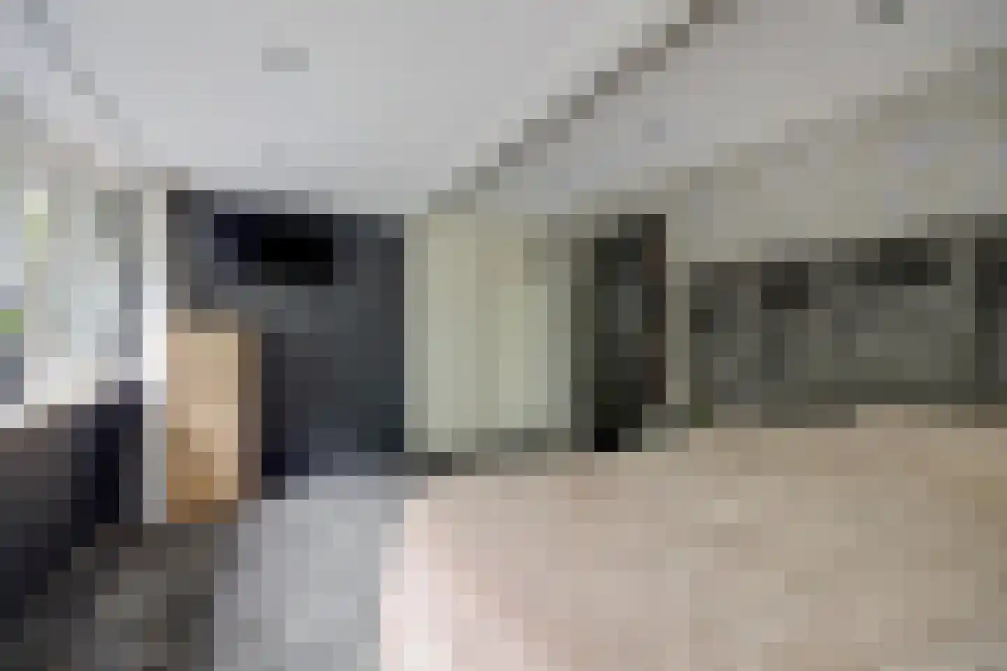 Joan Vuistpad 12 Vollenhove thumbnail 21