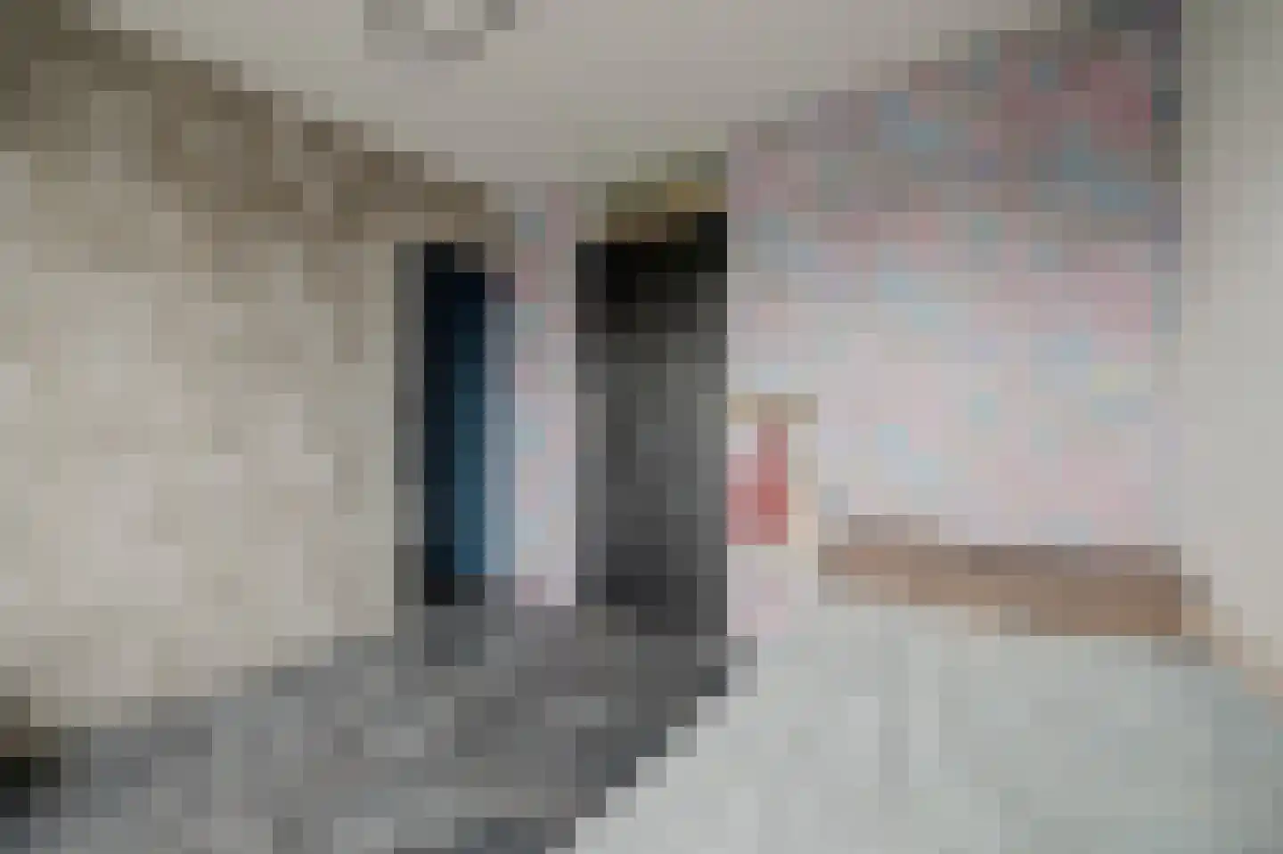 Joan Vuistpad 12 Vollenhove thumbnail 23