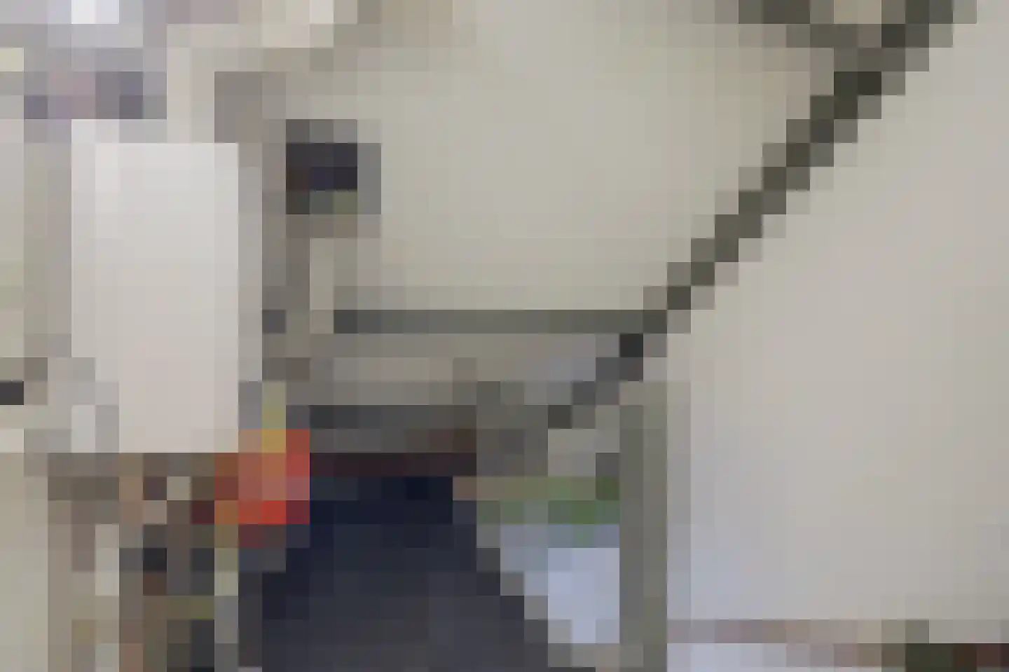 Joan Vuistpad 12 Vollenhove thumbnail 28