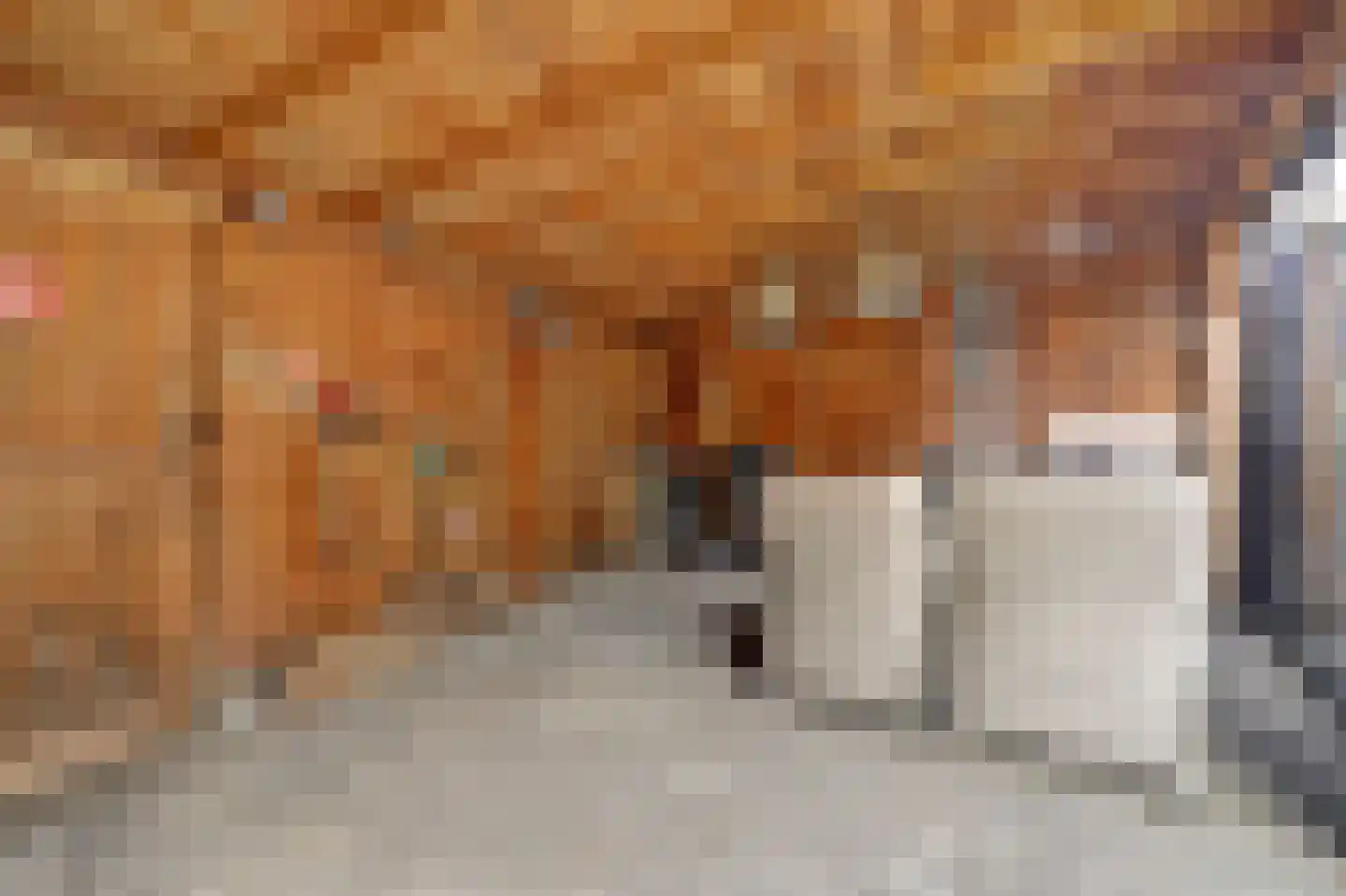 Joan Vuistpad 12 Vollenhove thumbnail 32