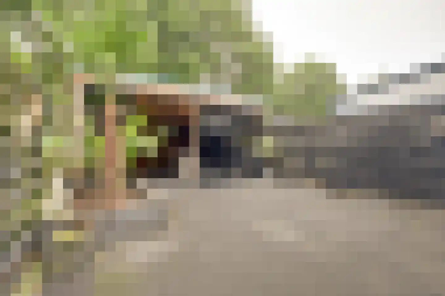Joan Vuistpad 12 Vollenhove thumbnail 34