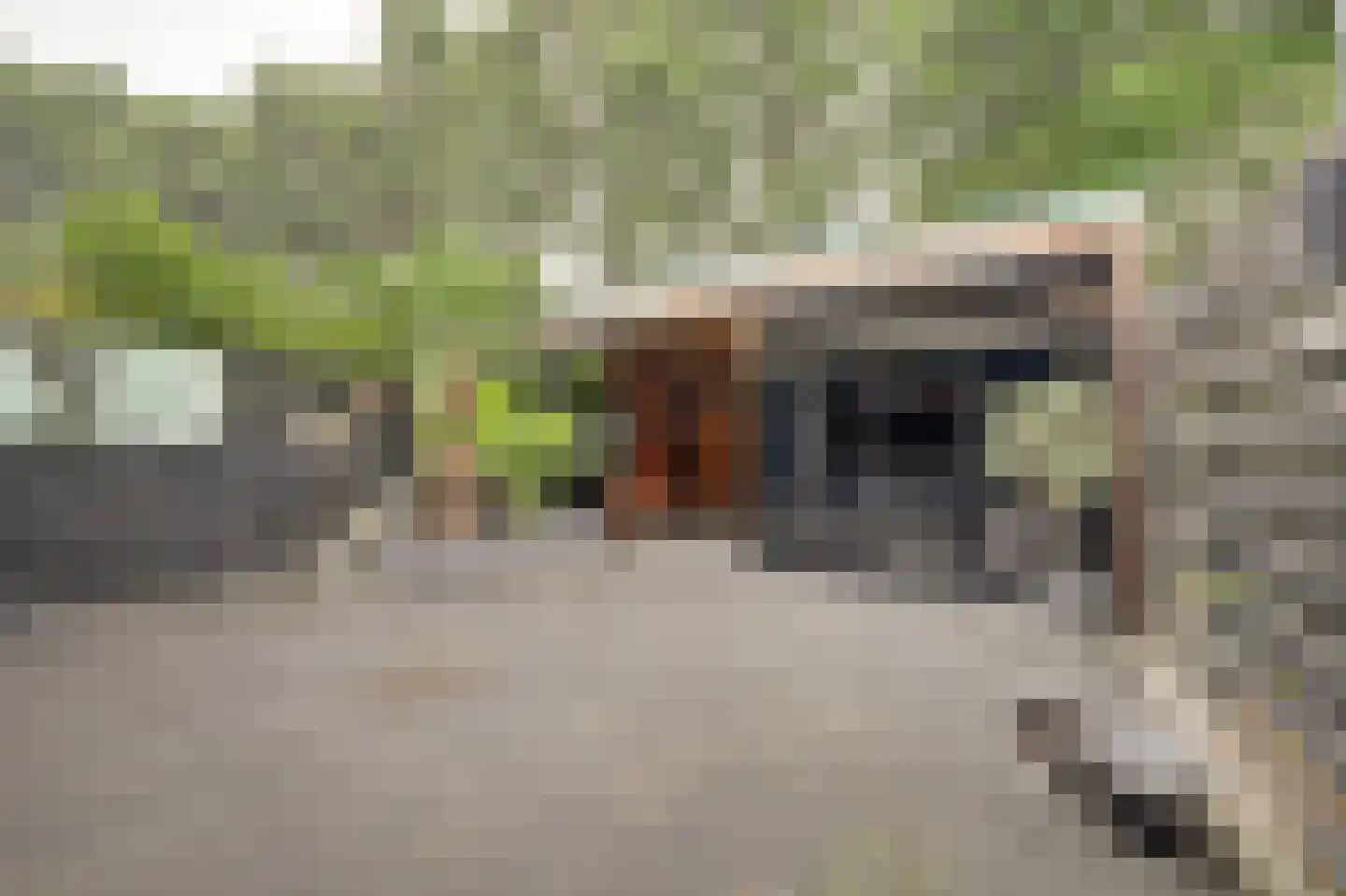 Joan Vuistpad 12 Vollenhove thumbnail 35