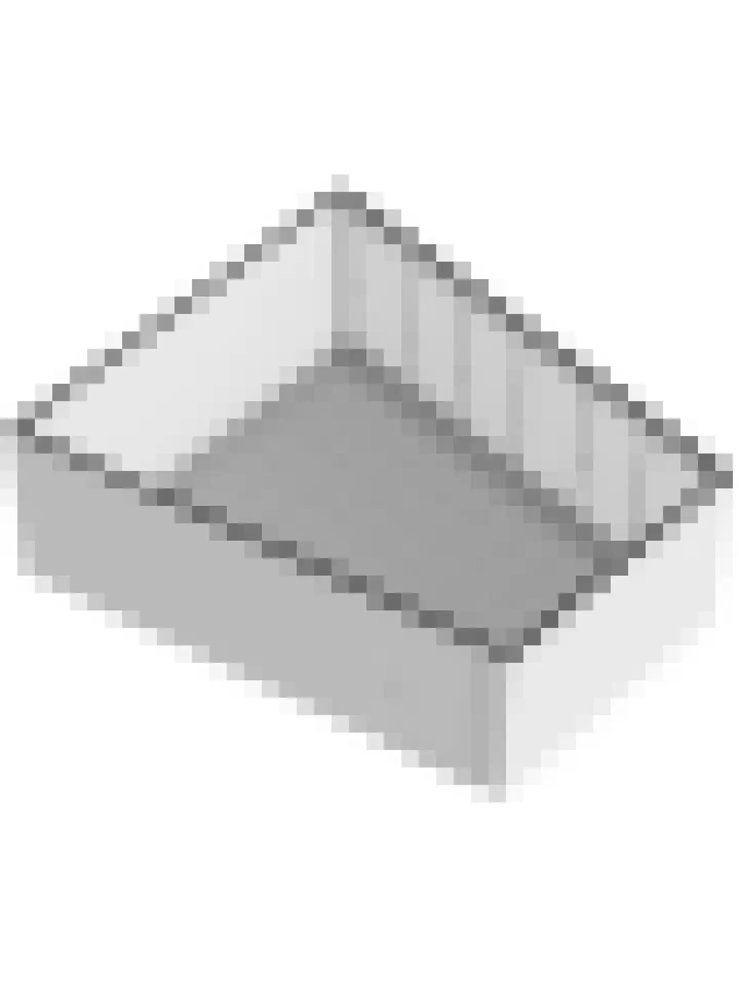 Joan Vuistpad 12 Vollenhove thumbnail 44