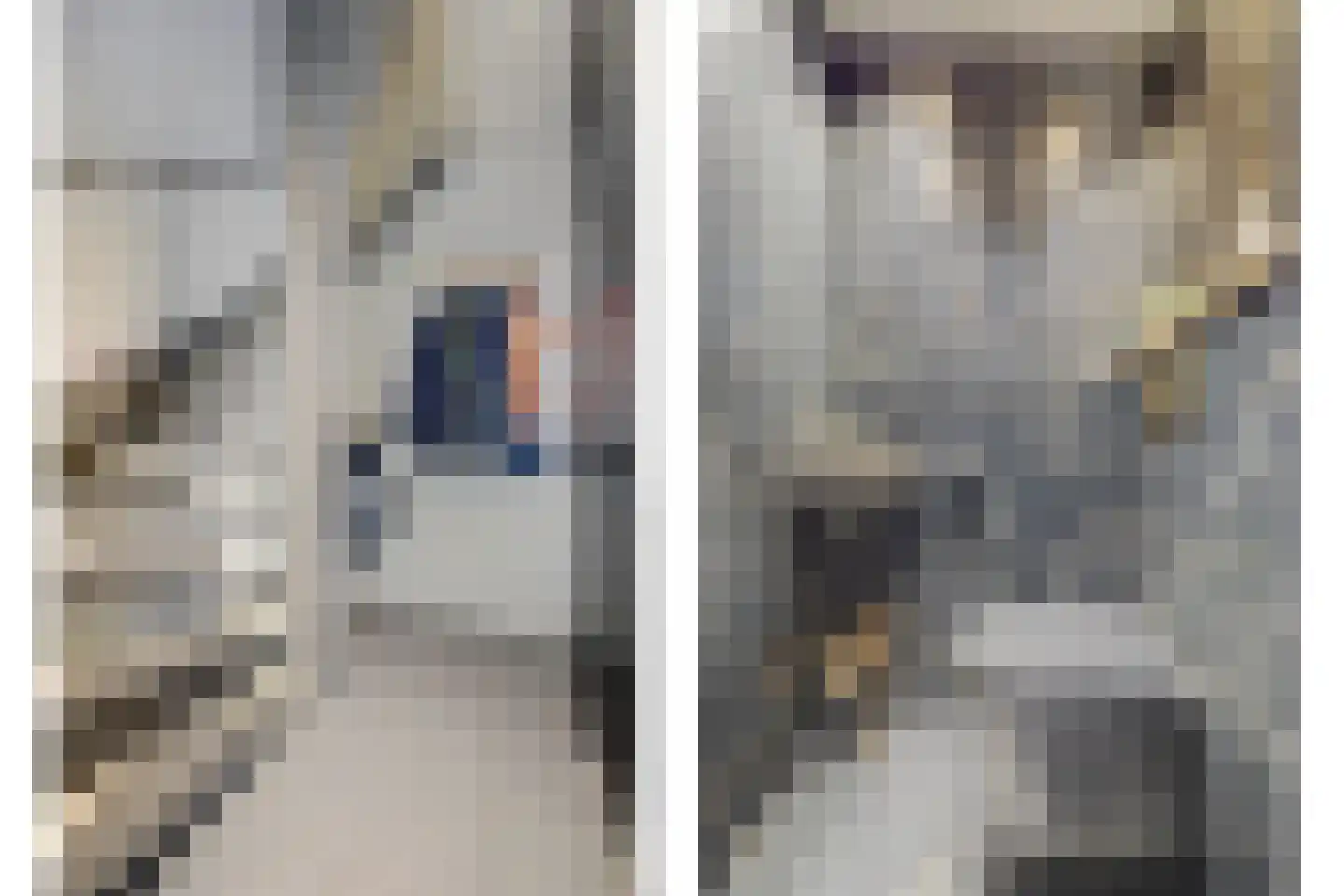 Joan Vuistpad 12 Vollenhove thumbnail 6