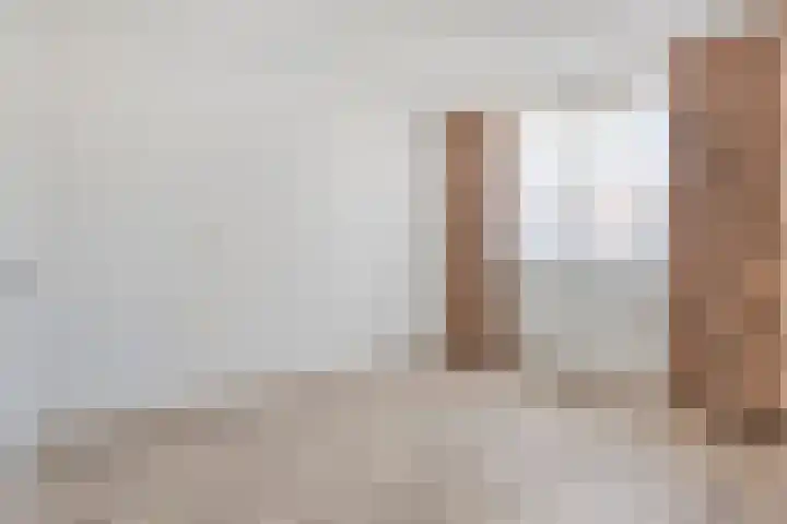 Joannes Antonides van der Goeskade 12 03 Goes thumbnail 11