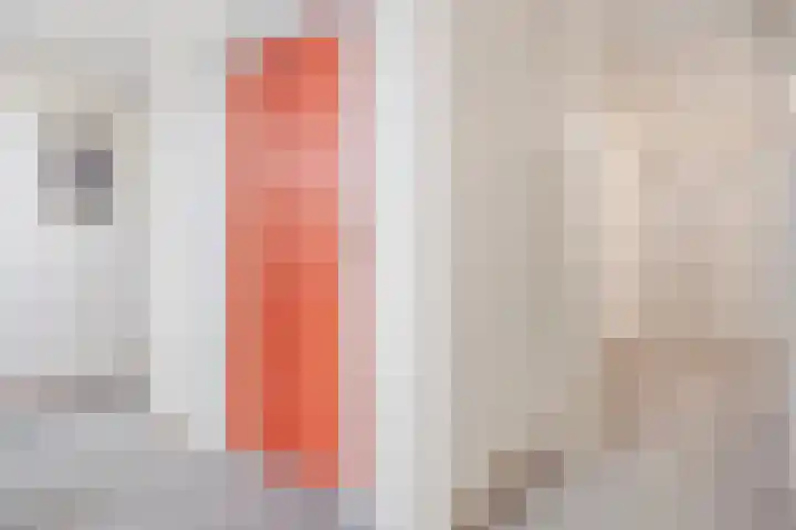 Joannes Antonides van der Goeskade 12 03 Goes thumbnail 23