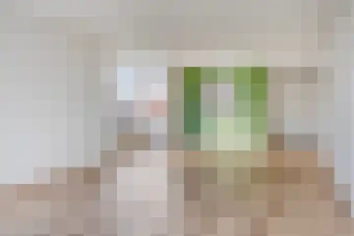 Joannes Antonides van der Goeskade 12 03 Goes thumbnail 6