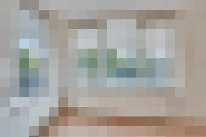 Joannes Antonides van der Goeskade 12 08 Goes thumbnail 10