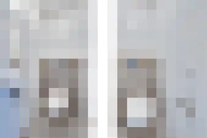 Joannes Antonides van der Goeskade 12 08 Goes thumbnail 17