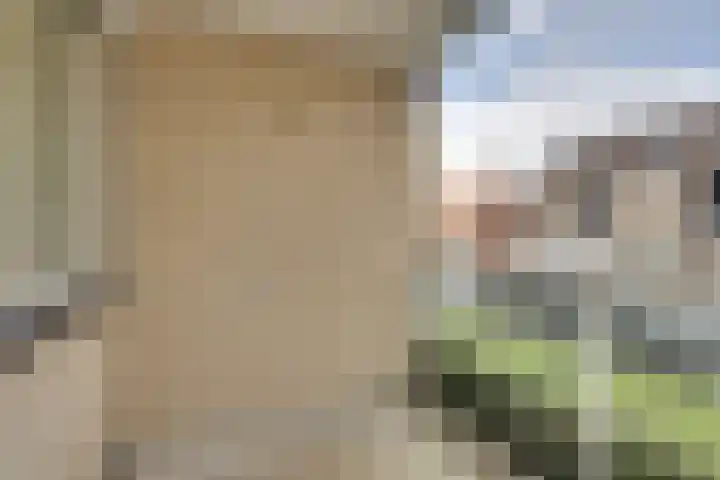 Joannes Antonides van der Goeskade 12 08 Goes thumbnail 23