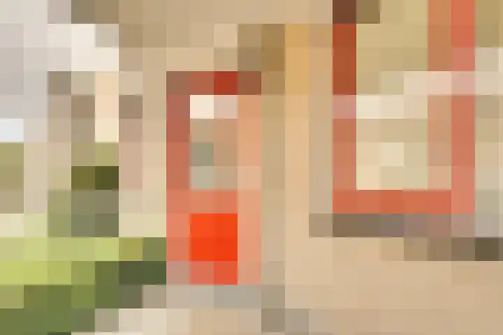 Joannes Antonides van der Goeskade 12 08 Goes thumbnail 24