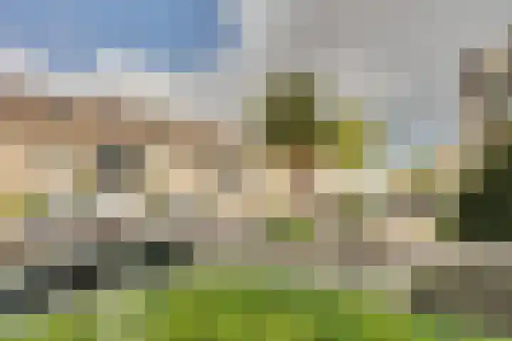 Joannes Antonides van der Goeskade 12 08 Goes thumbnail 25