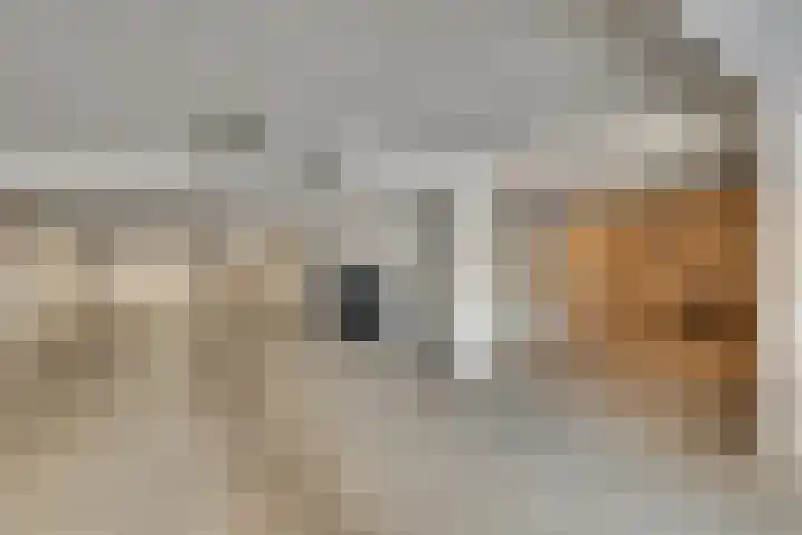 Joannes Antonides van der Goeskade 12 08 Goes thumbnail 27