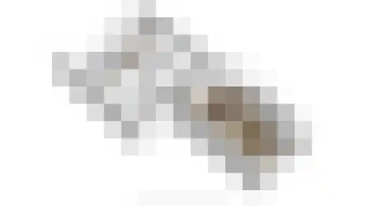 Joannes Antonides van der Goeskade 12 08 Goes thumbnail 31